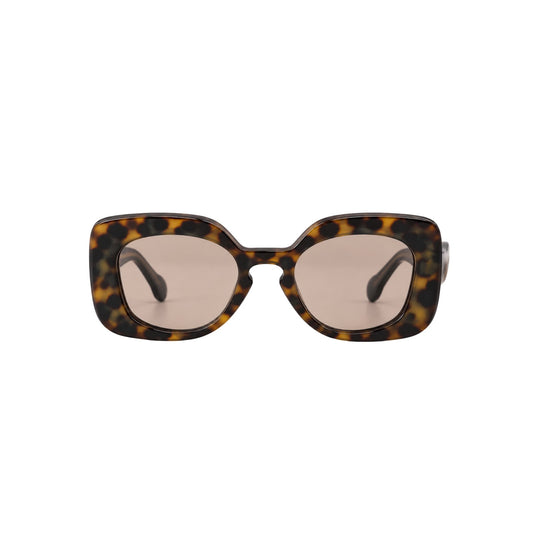 Metamorphosis — Havana Classic + Black