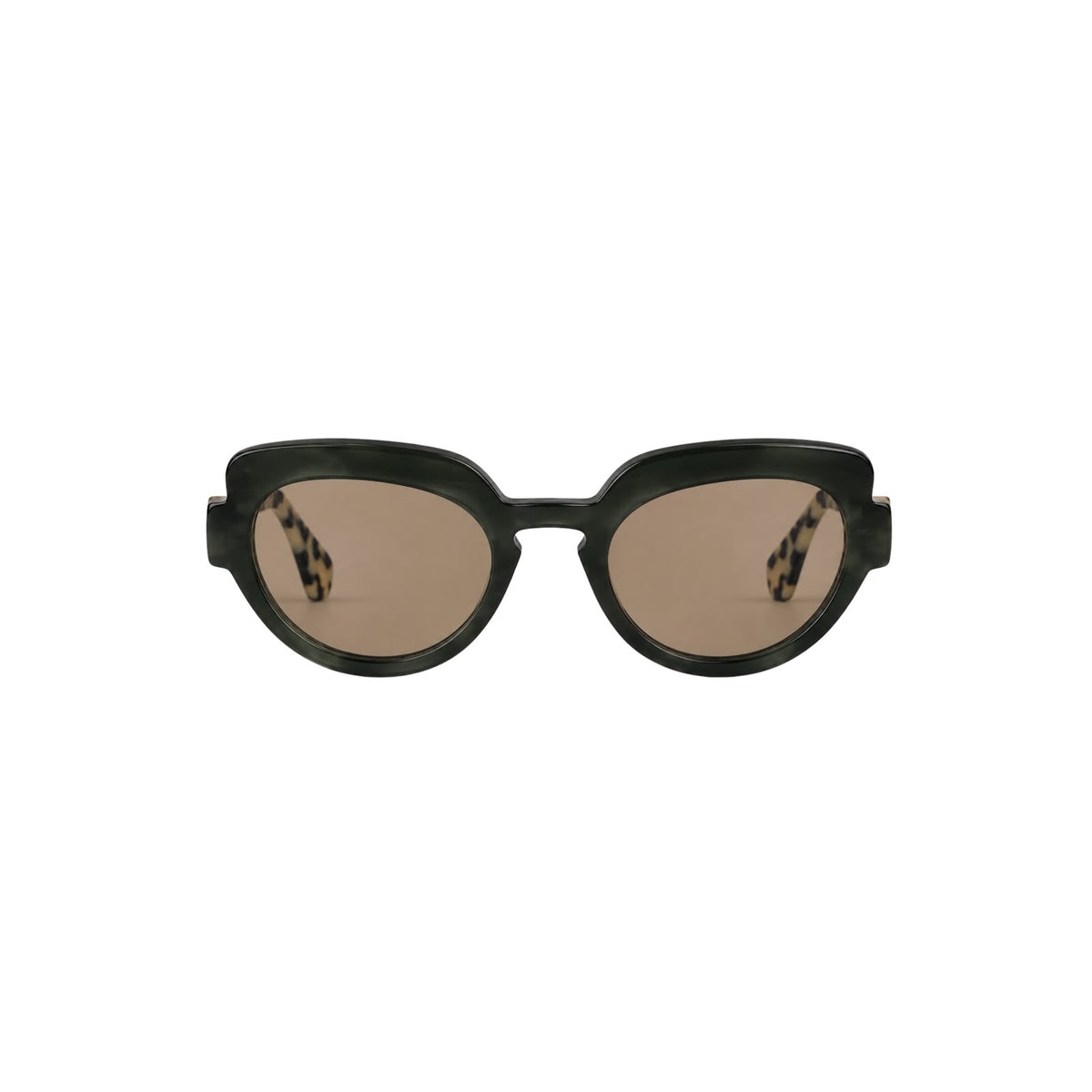 Voilà — Oliva + Tortoise